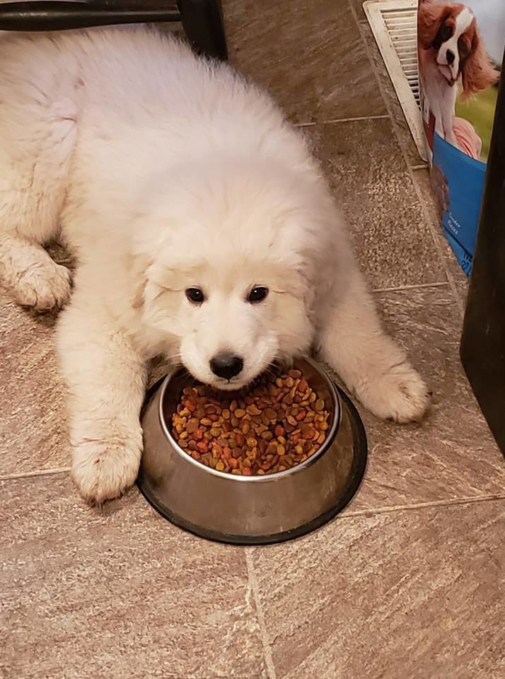 Such a sweetie!